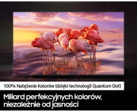 Samsung TV SAMSUNG 50" QE50Q67BAU QLED 4K Tizen DVB-T2/HEVC # - 1461479 - zdjęcie 6